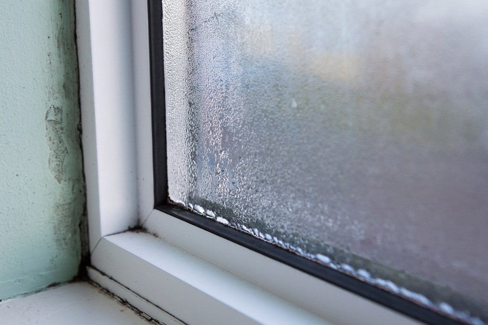 Why Mold Testing in Winter is Important