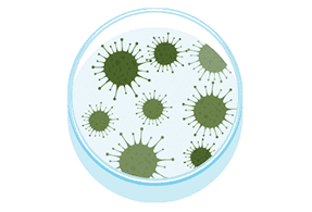 mold spore graphic