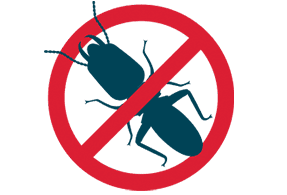 no termite graphic