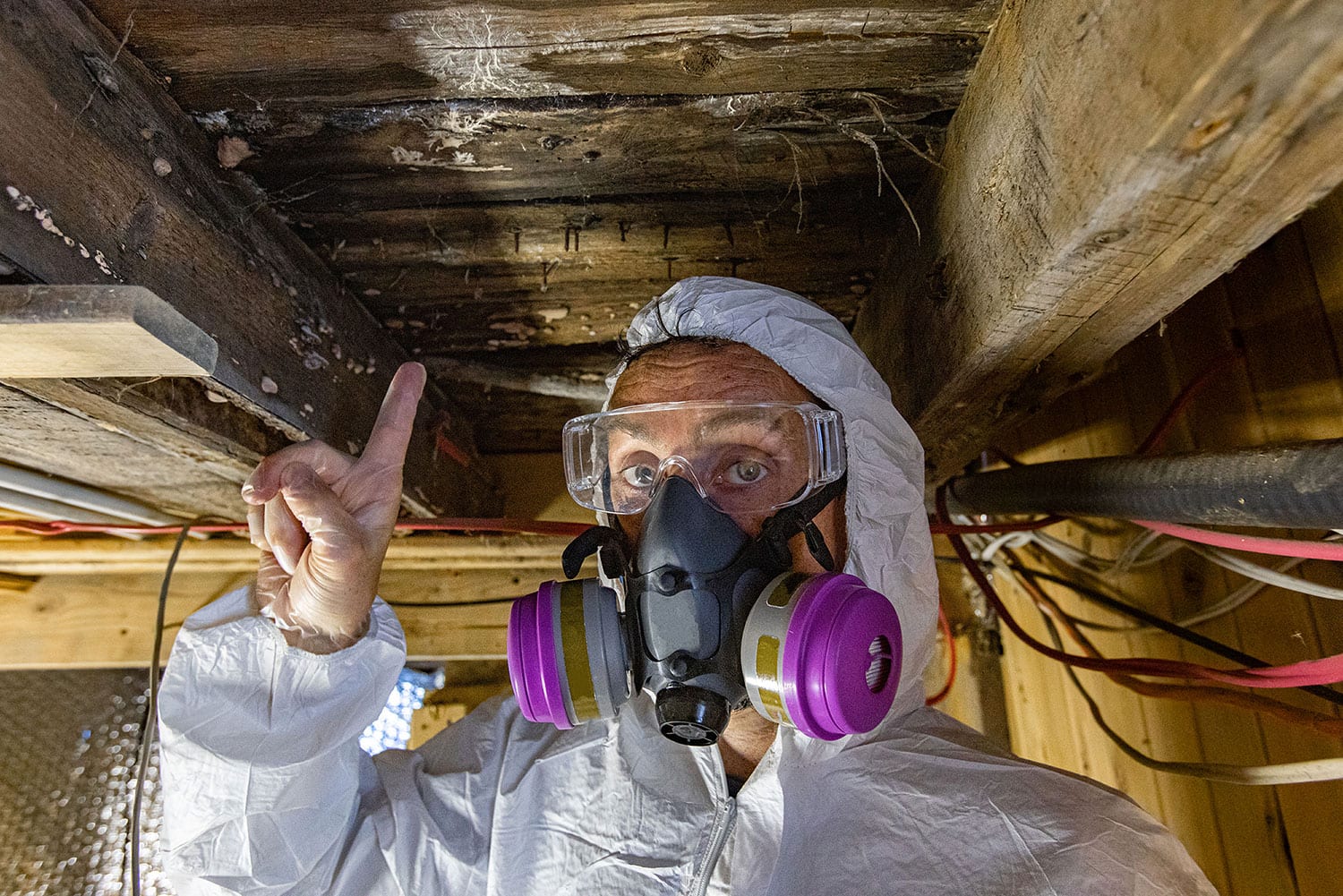 mold in crawlspace