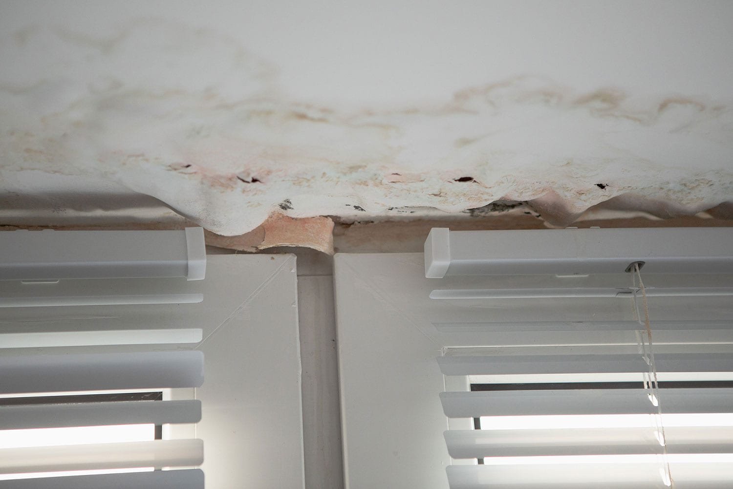 mold in ceiling