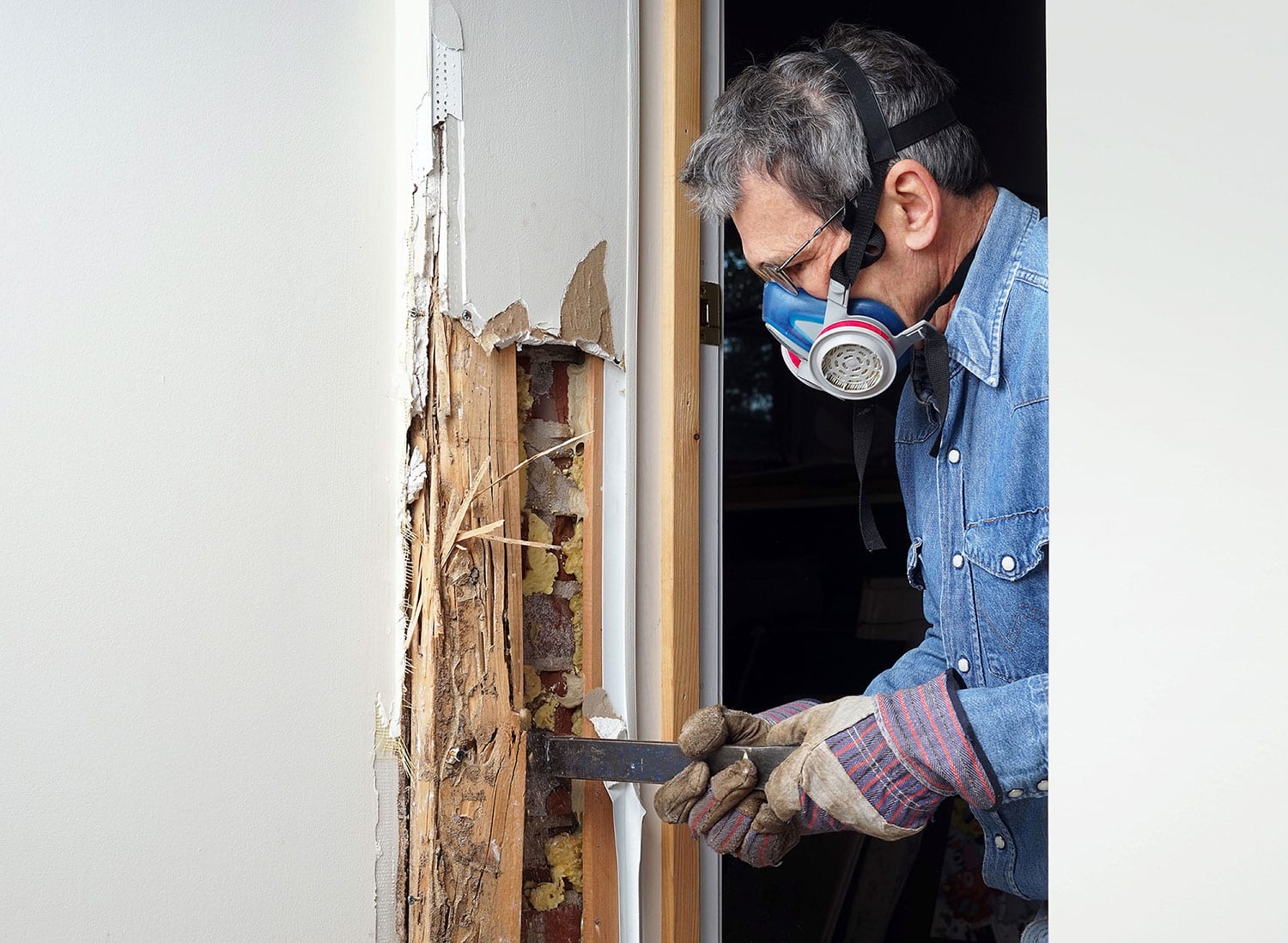 termite damage in home